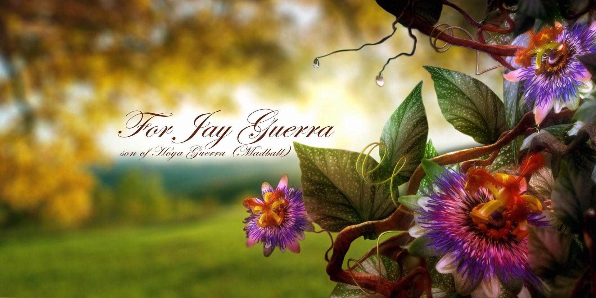 For Jay Guerra — son of Hoya Guerra (Madball)